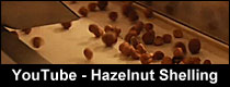 youtube hazelnut shelling